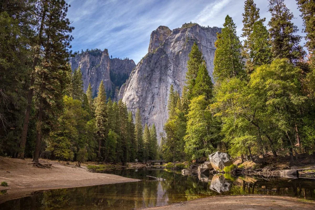 Pine trees in a valley beneath tall granite cliffs