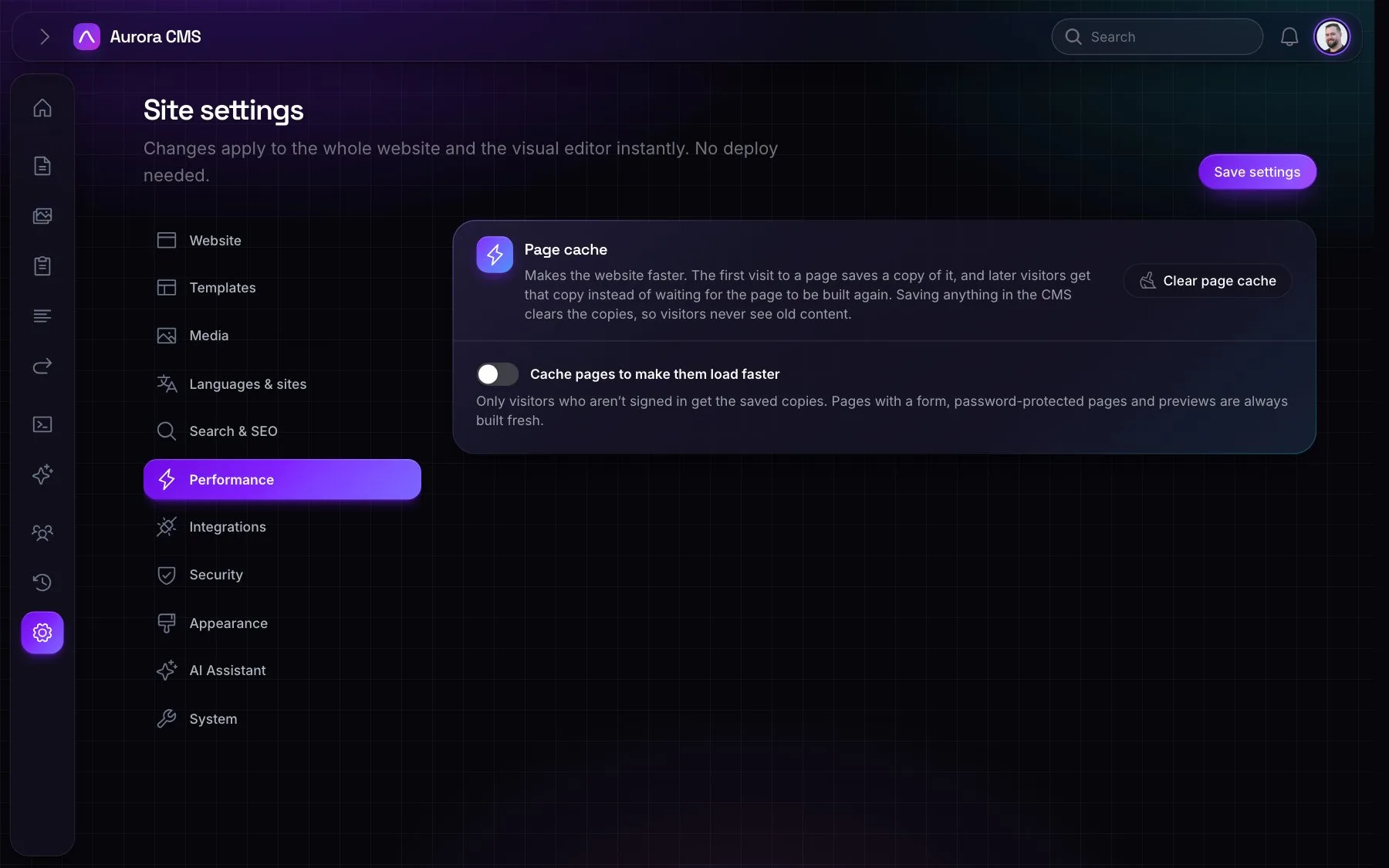 Performance settings: the page cache switch, how long pages are kept, and a button to clear it
